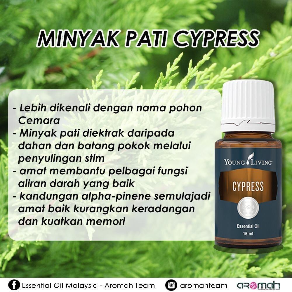 Cypress outlet young living