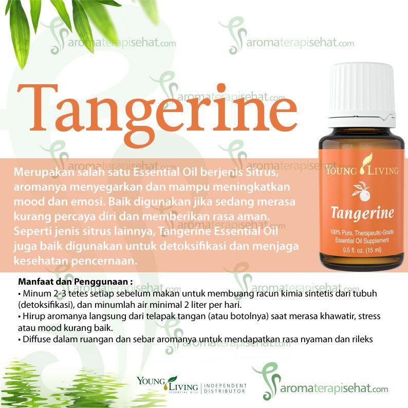 Tangerine young store living