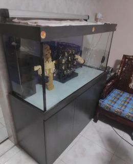 (Category: ) located in . Submitted by mdfifi (Listing ID 1081335812, Image 1). Description: .