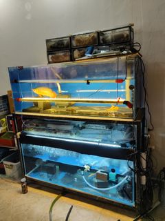 (Category: ) located in . Submitted by king7777 (Listing ID 1081330778, Image 1). Description: .