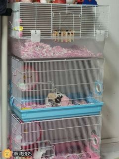 (Category: ) located in . Submitted by weiwei1297 (Listing ID 1081329635, Image 1). Description: .