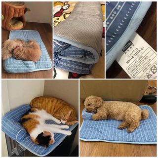 （分類：）位於 。 由 ecdoggie 提交（商品編號 1081397628，圖片 1）。簡介： 。