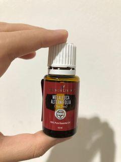 Young Living Tea Tree Essential Oil 15 ml