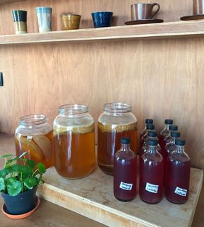 (Category: ) located in . Submitted by kombucha_moon (Listing ID 1081524324, Image 1). Description: .