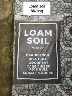 Loam soil