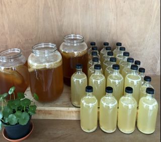 (Category: ) located in . Submitted by kombucha_moon (Listing ID 1081525260, Image 1). Description: .