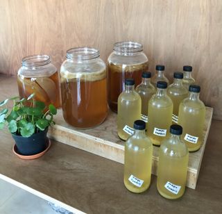 (Category: ) located in . Submitted by kombucha_moon (Listing ID 1081524560, Image 1). Description: .