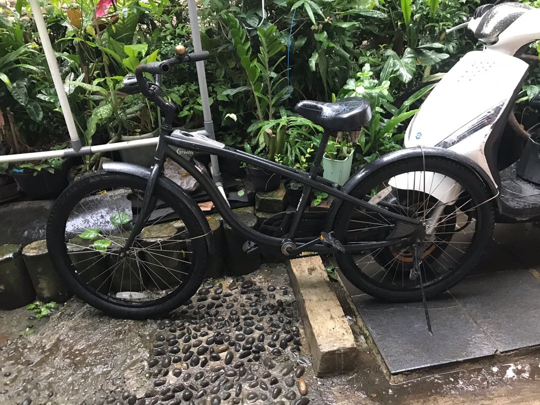Sepeda schwinn ace hardware 2025