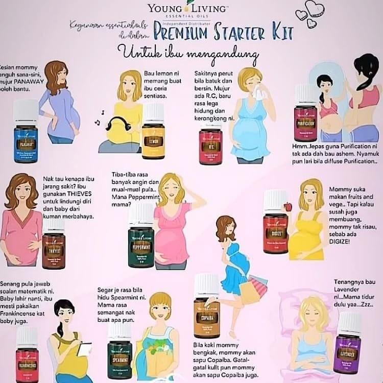 Young Living Basic Started Kit Premium Starter Kit Health Beauty Perfumes Nail Care Others On Carousell