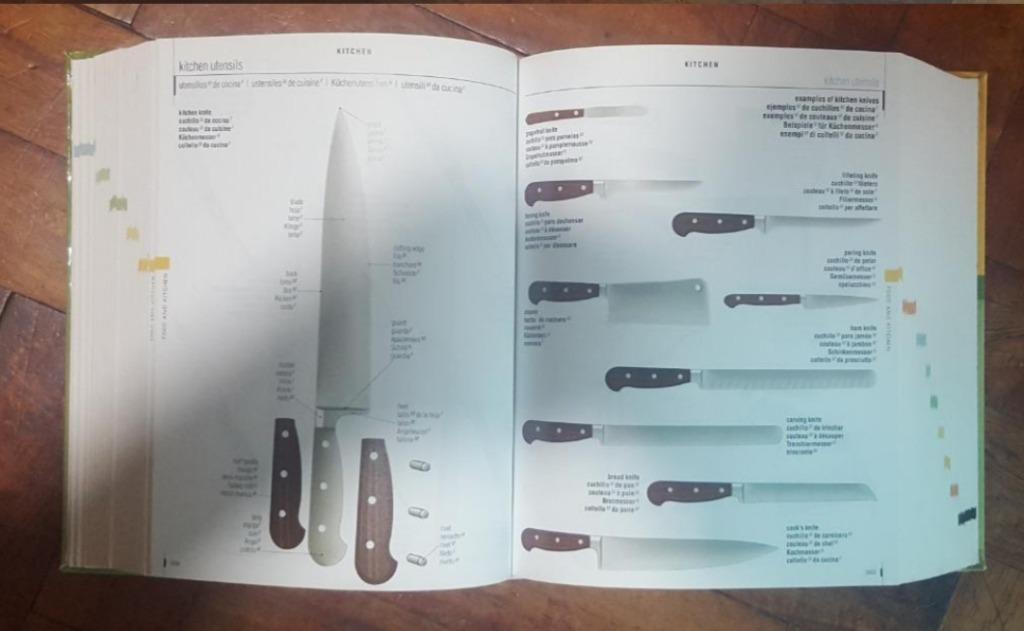 Meriam Webster's Compact 5-Language Visual Dictionary, Computers & Tech ...