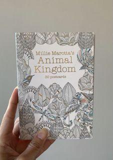 Millie Marotta’s Animal Kingdom Colouring Postcards