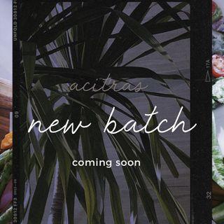 New Batch Coming Soon