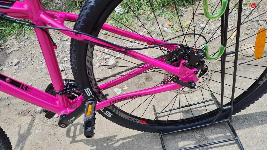 promax 160 disc