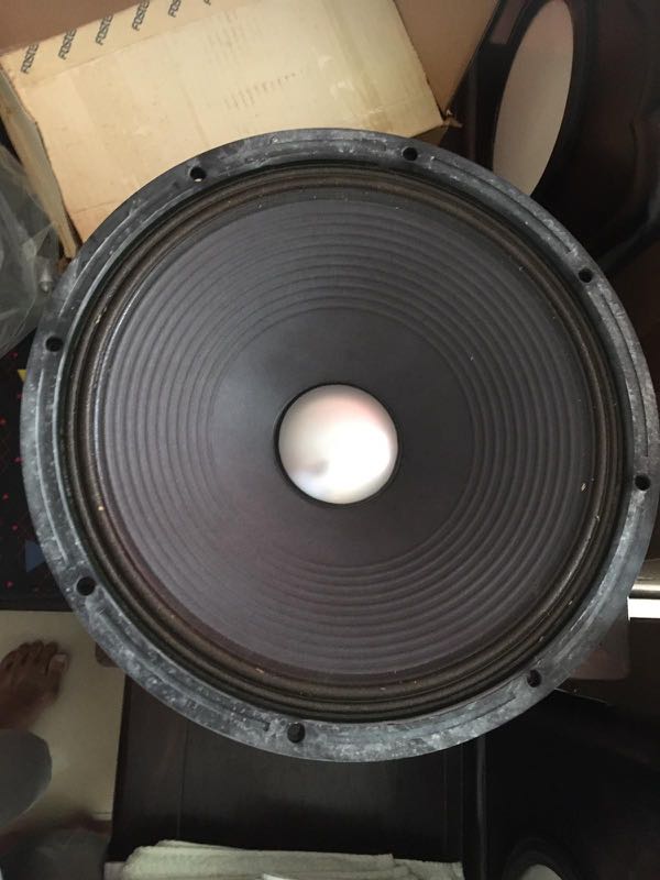 Fostex 15 sales inch woofer