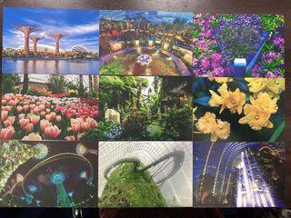 Gardens by the bay postcard set (9 pieces)