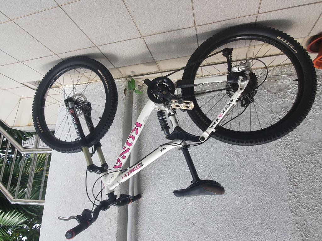 crane dual suspension mountain bike