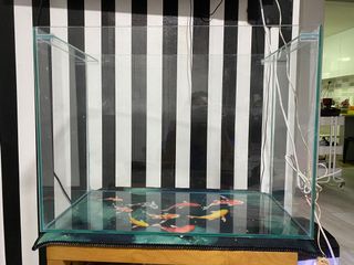 (Category: ) located in . Submitted by errzaa (Listing ID 1082202406, Image 1). Description: .