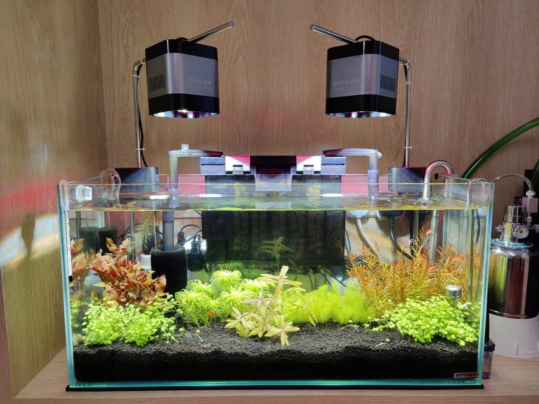 谷語水草燈魚缸燈led Tl1 40w 其他 其他 Carousell