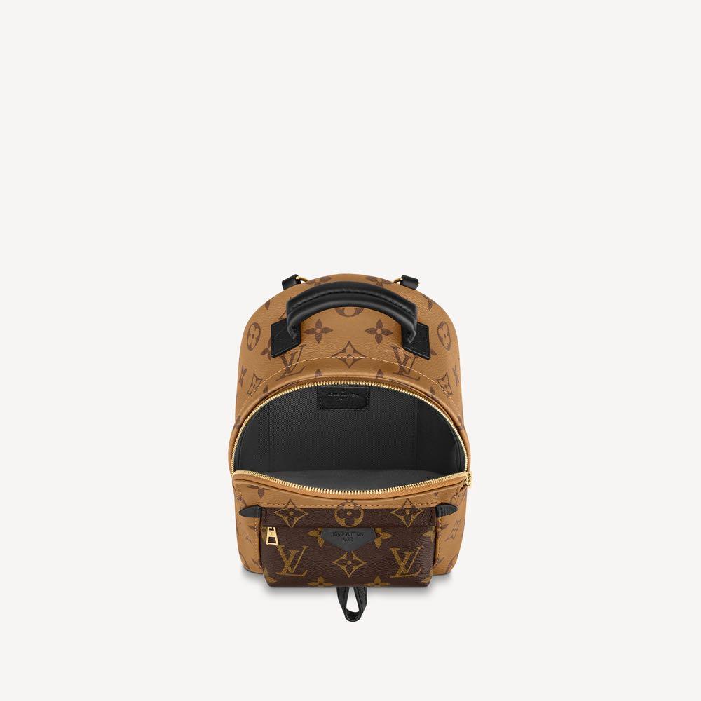 Louis Vuitton Monogram Reverse Palm Spring Small Backpack Bag