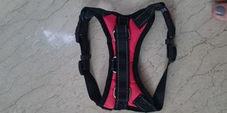 (Category: ) located in . Submitted by meeisy (Listing ID 1082083316, Image 1). Description: .