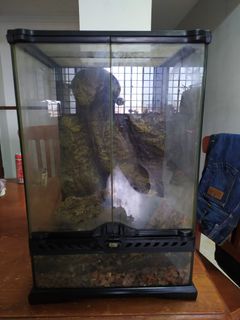 (Category: ) located in . Submitted by userat (Listing ID 1082111084, Image 1). Description: .