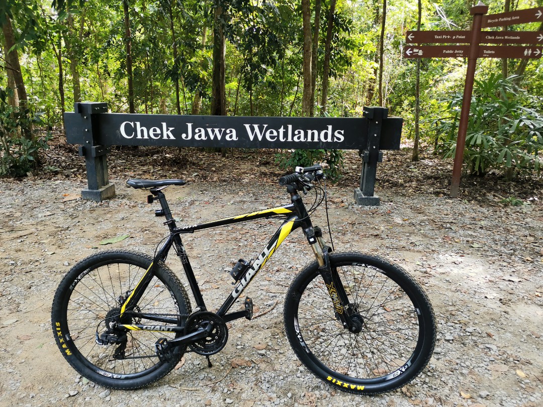 Giant Mountain Bike XL size, Sports 