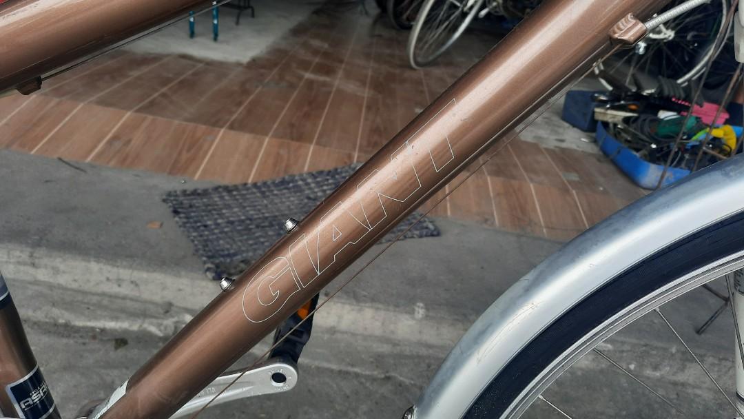 Giant Suitto Hybrid, Sports Equipment 