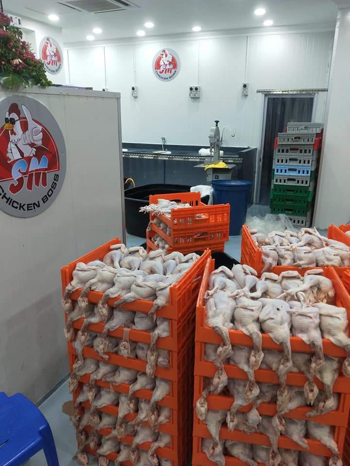 Menjual Pembekal Dan Pemborong Ayam Dara Ayam Segar Frozen Dan Chicken Part Food Drinks Food Drinks Others On Carousell