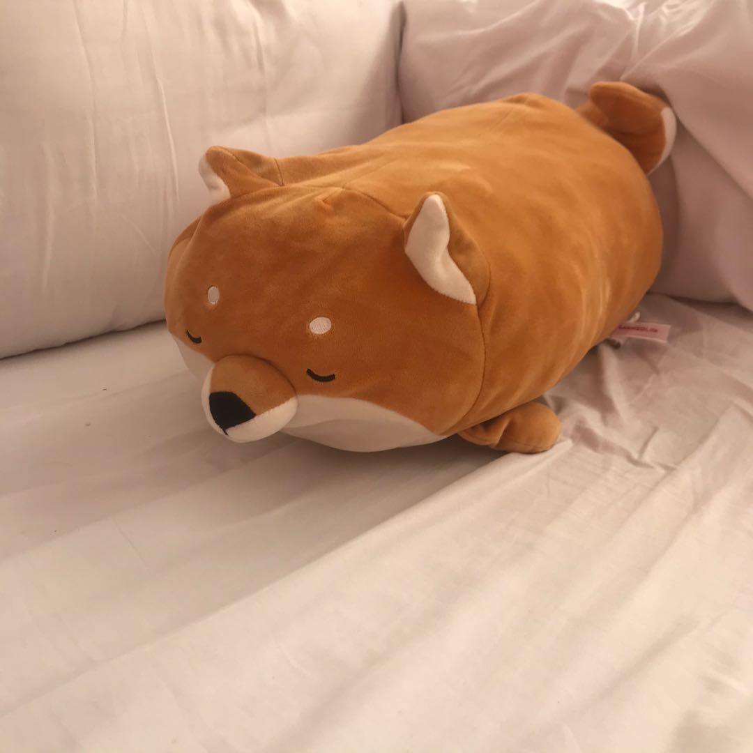 Miniso corgi plush outlet