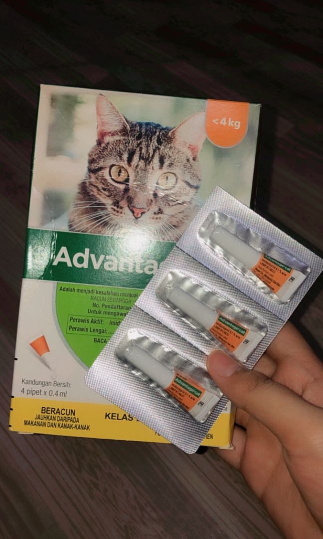 Ubat Kutu Kucing  Bayer Advantage Cat Spot On S Size 0 4ml Ubat Kutu