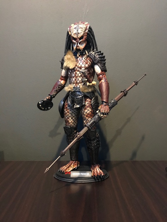 RARE! 1/6 Hot Toys Shadow Predator, Hobbies & Toys, Collectibles &  Memorabilia, Fan Merchandise on Carousell