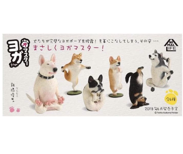 全6款有盒 日本正版朝隈俊男animal Life Yoga Dog 瑜珈狗柴犬哥基法鬥哈士奇斗牛梗盒玩盒蛋 玩具 遊戲類 玩具 Carousell