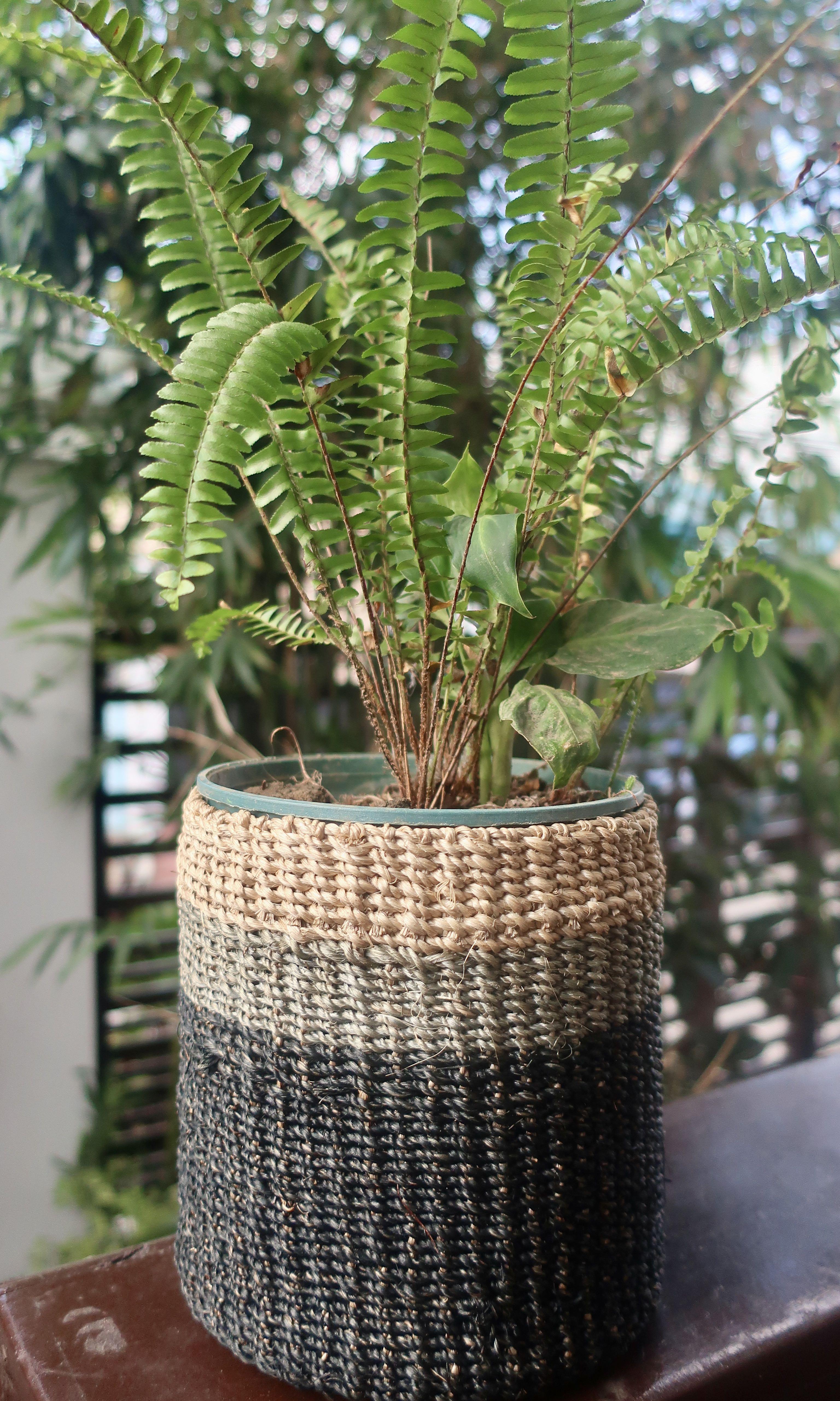 Abaca baskets (Category: Storage Boxes & Baskets) located in Pasig City. Submitted by theorchidgirl (Listing ID 1082227870, Image 3). Description: Abaca baskets good as planters or organizers Very nice colors .