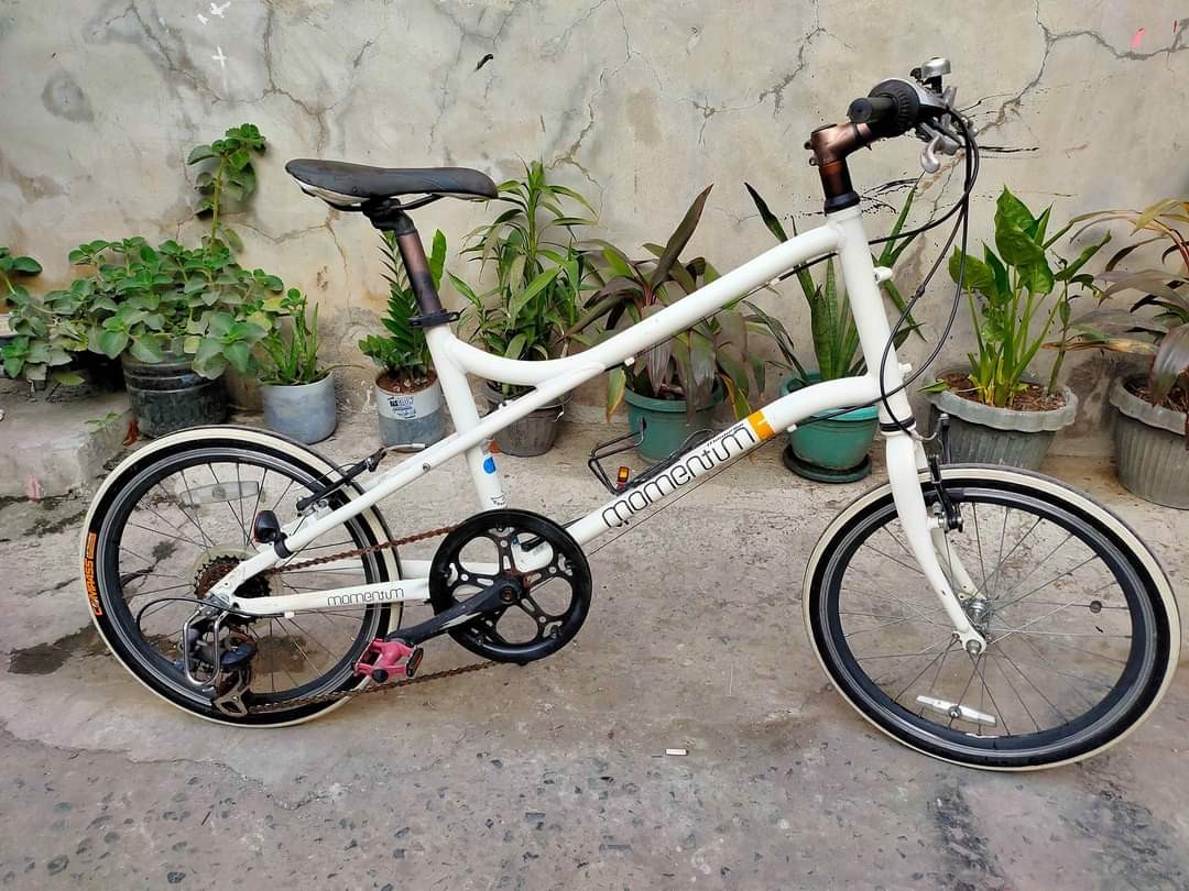 Momentum 2025 mini velo