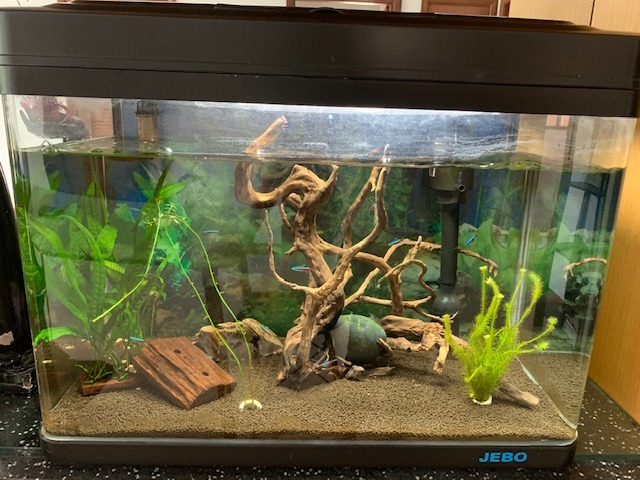 Jebo fish tank 2025