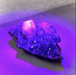 (Category: ) located in . Submitted by pie.gems (Listing ID 1082527675, Image 1). Description: .