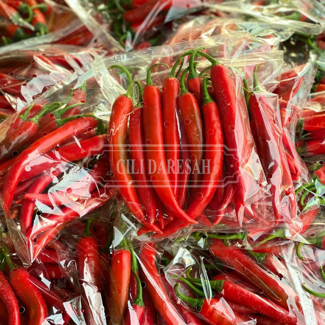 Cili merah besar / cili kulai cili hybrid 461, Food u0026 Drinks, Food 
