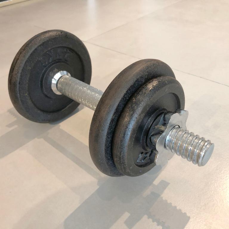 Gym dumbbell 10 kg shop