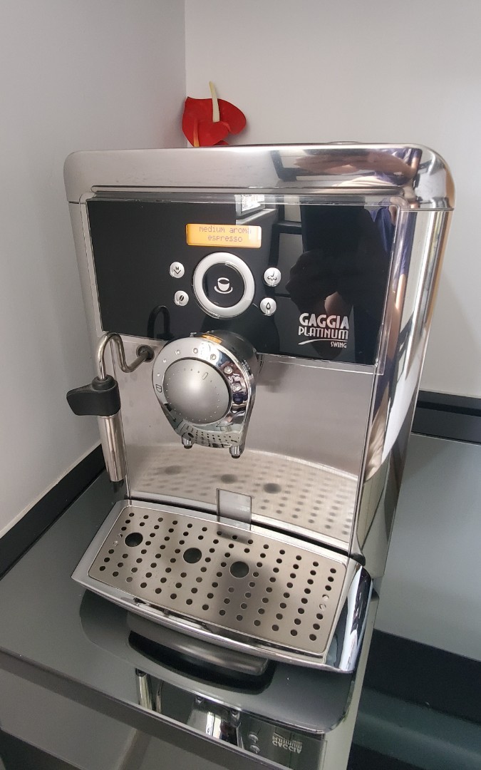 Gaggia platinum swing up online