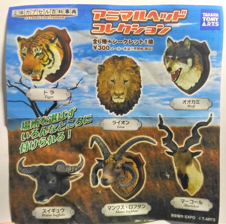 共5隻動物頭老虎白虎狼立體百科事典扭蛋捻角山羊white Tiger Wolf Markhor Manx Loaghtan Takara Tomy Arts 玩具 遊戲類 玩具 Carousell