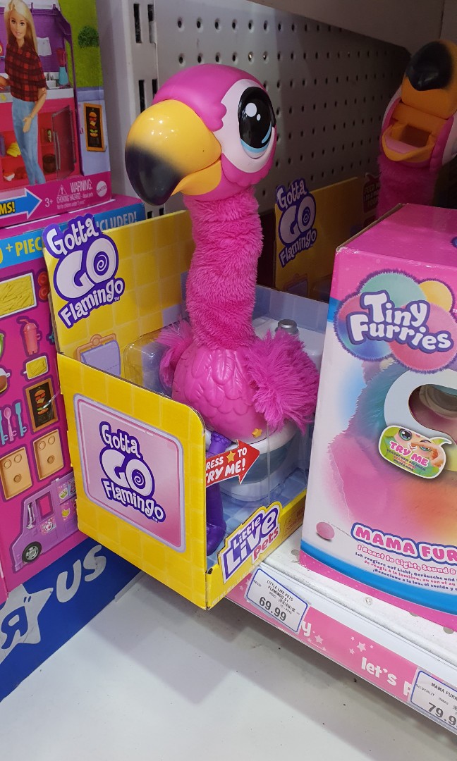 the pooping flamingo