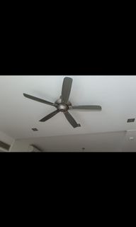 (Category: ) located in . Submitted by machonicho (Listing ID 1078998052, Image 1). Description: .