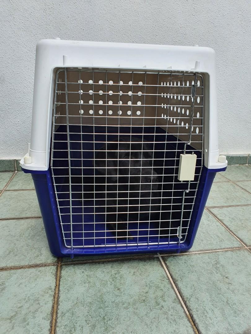 Pp50 dog crate size discount
