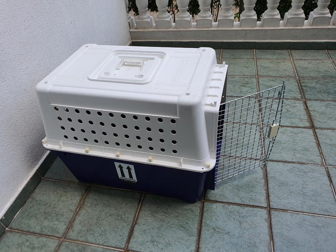 Dog crate PP50 for mediumsized dogs, Pet Supplies, Homes & Other Pet Accessories on Carousell