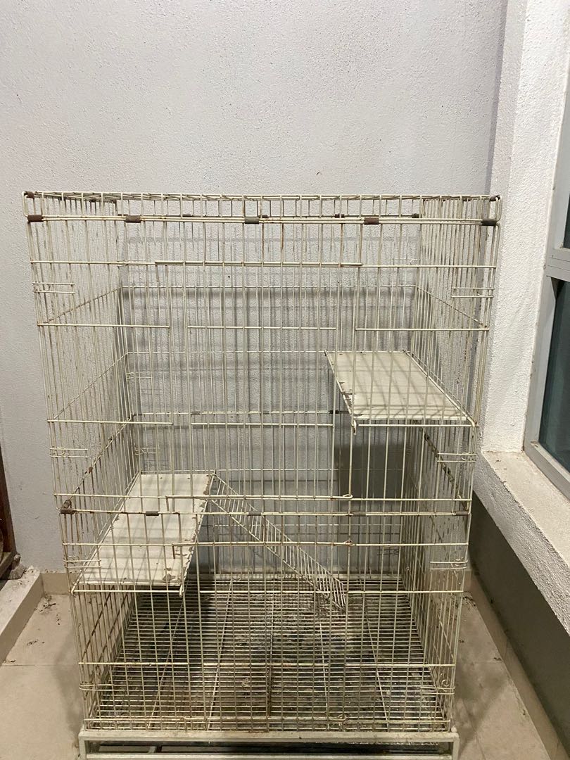 Sangkar Kucing Secondhand Pet Supplies Pet Accessories On Carousell