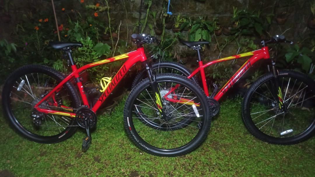 Specialized shop pitch red