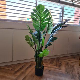 Used Artificial Monstera Plant