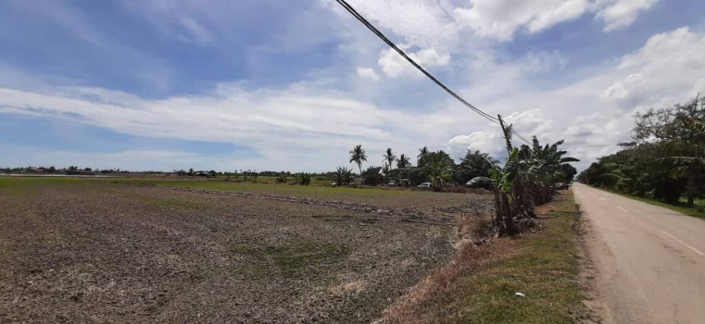 tanah kebun untuk dijual di selangor