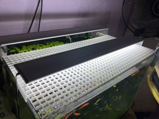 （分類：）位於 。 由 geoffli88 提交（商品編號 1082643663，圖片 1）。簡介： 。