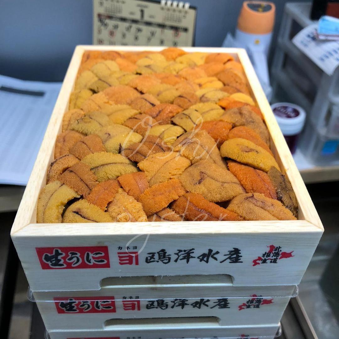 日本亂排馬糞海膽 嘢食 嘢飲 本地食物on Carousell 日本亂排馬糞海膽 嘢食 嘢飲 本地食物on Carousell